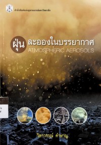 Image of ฝุ่น ละอองในบรรยากาศ
