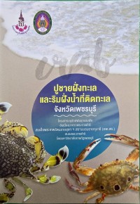 Image of ปูชายฝั่งทะเลและริมฝั่งน้ำที่ติดทะเลจังหวัดเพชรบุรี