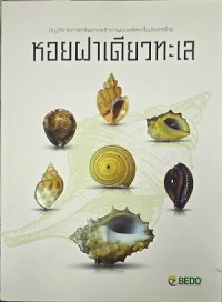 Image of บัญชีรายการทรัพยากรชีวภาพมอลลัสกาในประเทศไทย หอยฝาเดียวทะเล
